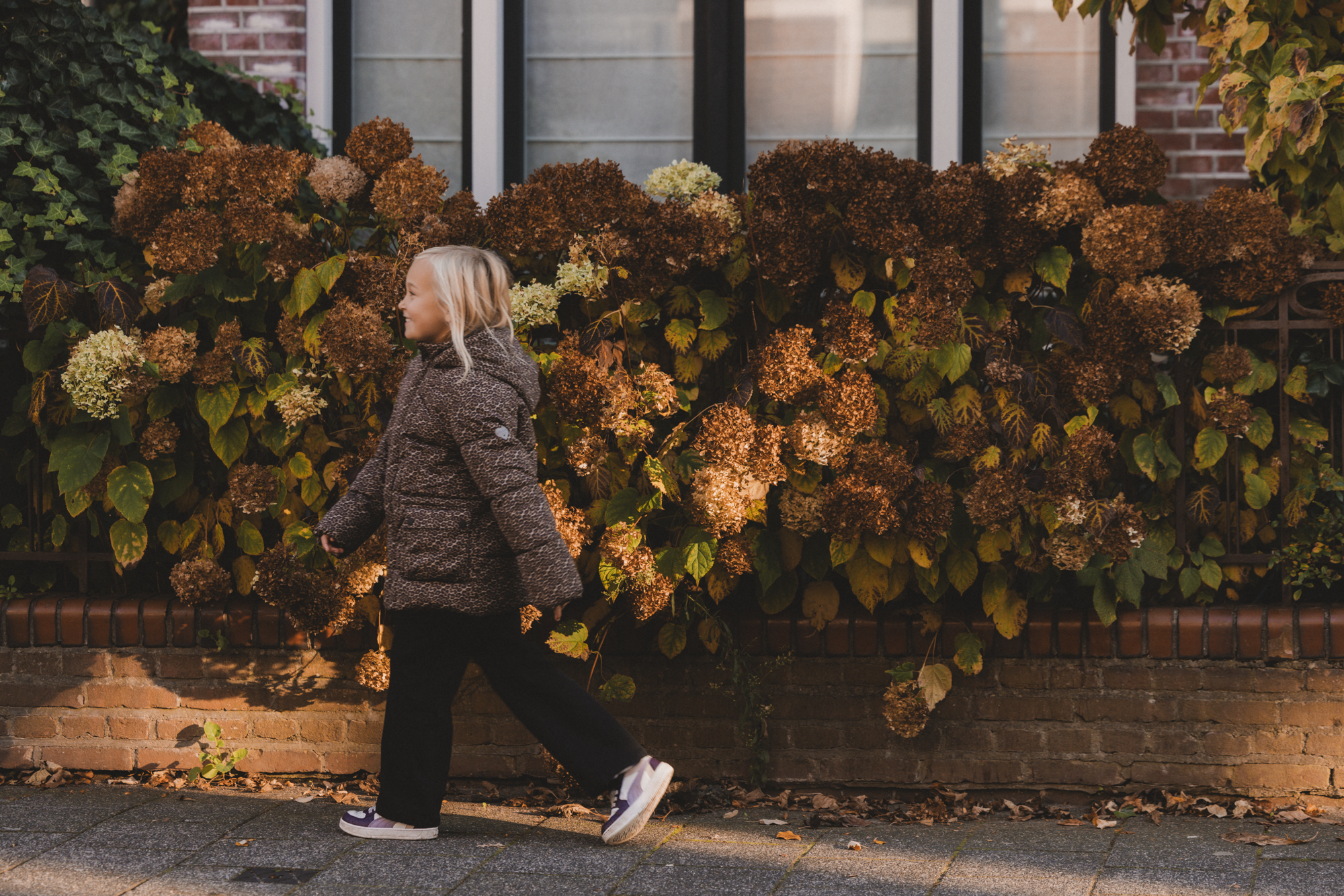 Little Looxs Winter 25